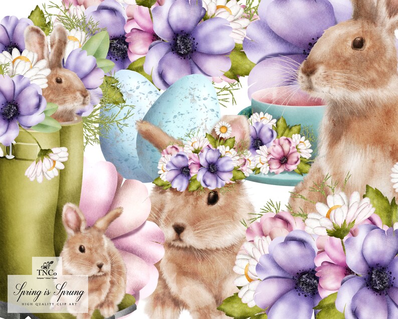 May include: A digital illustration of three brown bunnies with floral wreaths and pastel blue eggs. The bunnies are surrounded by purple, pink, and white flowers. The text "Spring is Sprung" is at the bottom of the image.