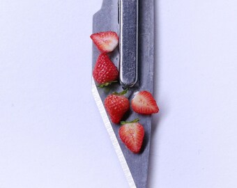 TUTORIAL 1:12th scale dollhouse miniature food - strawberry PDF tutorial