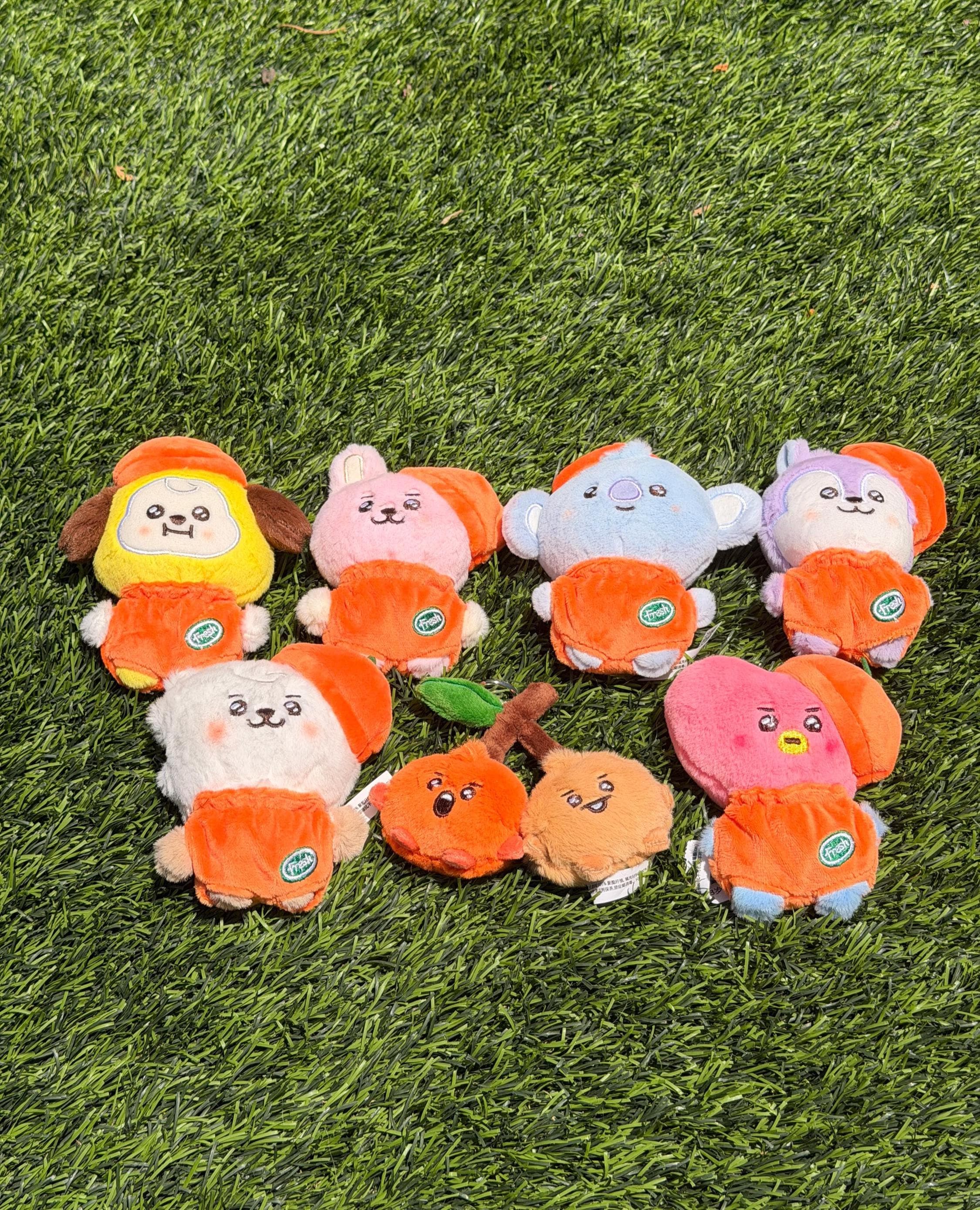 Bt21 cooky plush - Etsy 日本