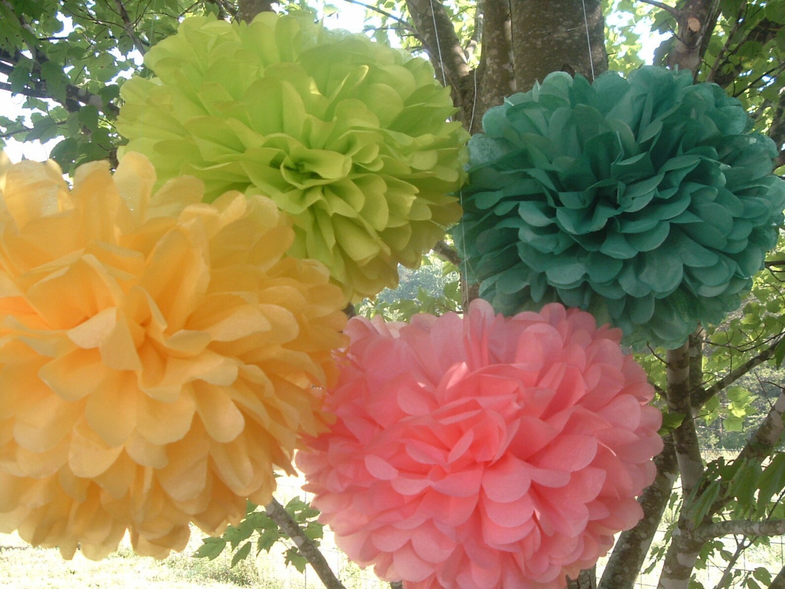 10 Tissue Paper Pom Poms Wedding Decorations Baby Shower Etsy
