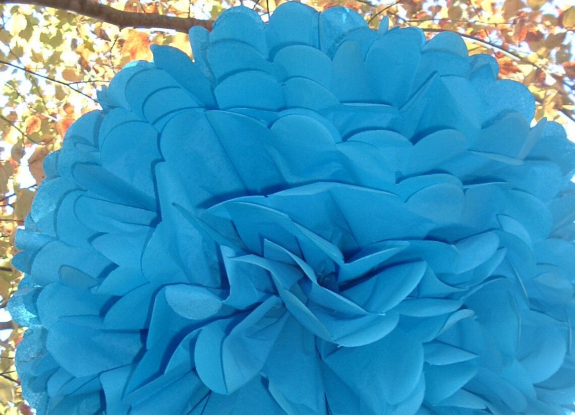 12 Tissue Paper Pom Poms, Wedding Decorations, Baby Shower, Wedding Anniversary, Bridal Party