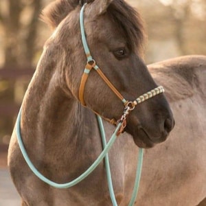 Handmade Horse Rope Halter with Lead Rope | Adjustable Natural Horsemanship Halter | Soft, Durable, Custom Colors | Western Equestrian Tack