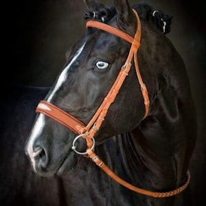 Handmade Leather Horse Halter | Braided Noseband Halter | Premium Adjustable Stable Halter | Western Horse Tack | Equestrian Gift