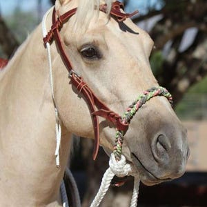 Braided Rope Hackamore Horse Halter | Western Bitless Bridle | Soft Training Hackamore | Horse Riding Tack | Custom Colors