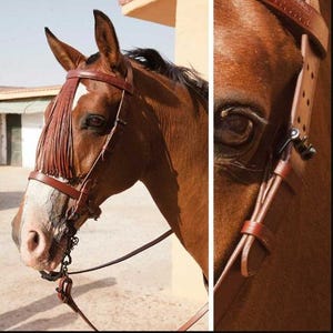 Handmade Leather Spanish Horse Bridle with Decorative Fringe | Western Riding Bridle | Adjustable Headstall | Equestrian Tack