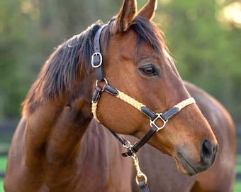 Cabestro de cuero trenzado para caballos / Equipo de equitación occidental hecho a mano