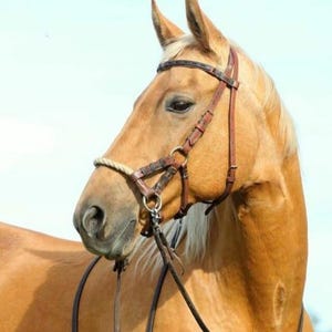 Handmade Leather Horse Bridle | Western English Riding Bridle | Adjustable Bit Bridle with Reins | Premium Equestrian Tack