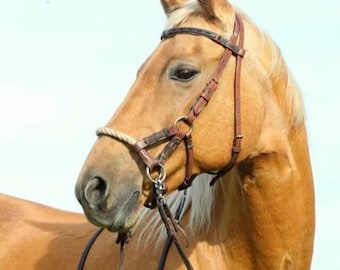 Horse Barcoo Bridle In Mini Pony Cob Full Or X-full Sizes With Nickel Fittings Huge Colour Options - Canada - Foto 7