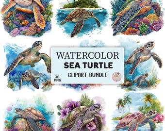 Paquete de imágenes prediseñadas de tortugas marinas en acuarela, tortugas marinas PNG, archivo digital de vida marina tropical, verano PNG, animales marinos PNG para scrapbooking, pegatinas