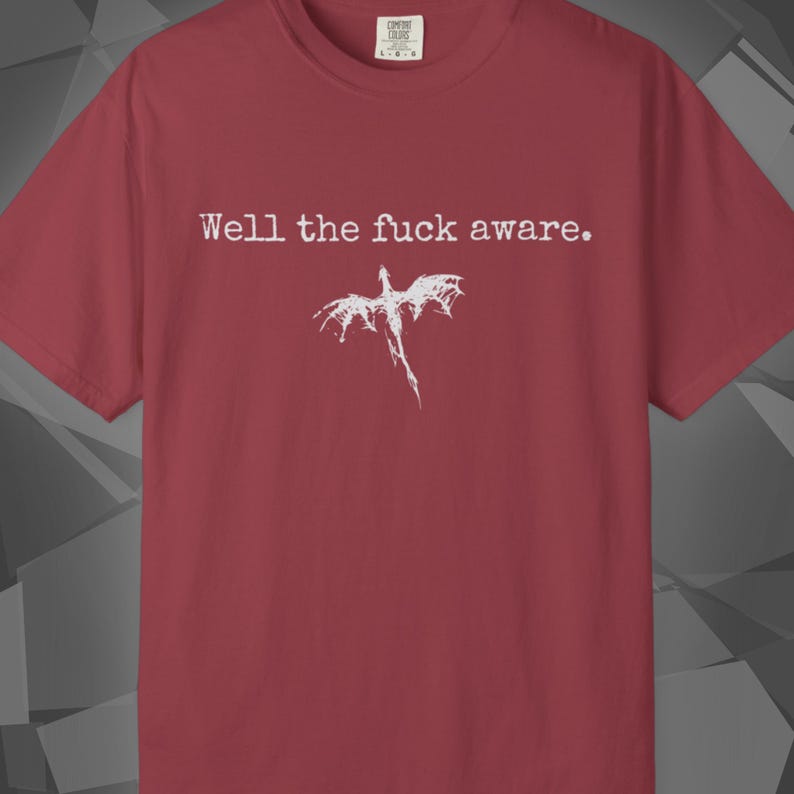 Comfort Colors unisex T-shirt featuring a Fourth Wing fantasy design inspired by the Empyrean Series. Premium quality 100% cotton shirt with a soft, relaxed fit, available in 14 colors and plus sizes. Bookish fantasy apparel inspired by Iron Flame, Onyx Storm, Basgiath War College, Dragon Riders, Fly or Die, and the Riders Quadrant, for fans of Violet Sorrengail, Xaden Riorson, and Rebecca Yarros.
