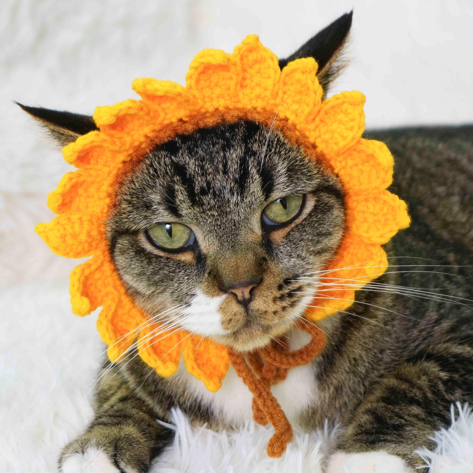 sunflower-cat-hat-crochet-pattern-cat-hat-crochet-pattern-flower-cat
