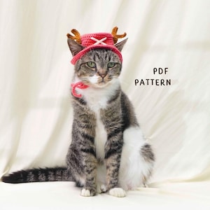 Op de afbeelding: Een tabby kat met een rode gehaakte hoed met bruine geweien en een bijpassende rode kraag. De kat zit en kijkt in de camera. De tekst "PDF PATTERN" is zichtbaar op de achtergrond.
