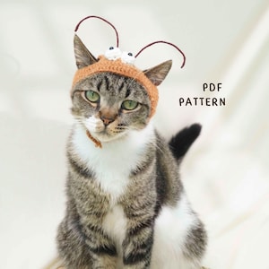 May include: A tabby cat wearing a crocheted orange hat with white eyes and brown antennae. The cat has green eyes and white markings on its chest. The text "PDF PATTERN" is visible in the image.