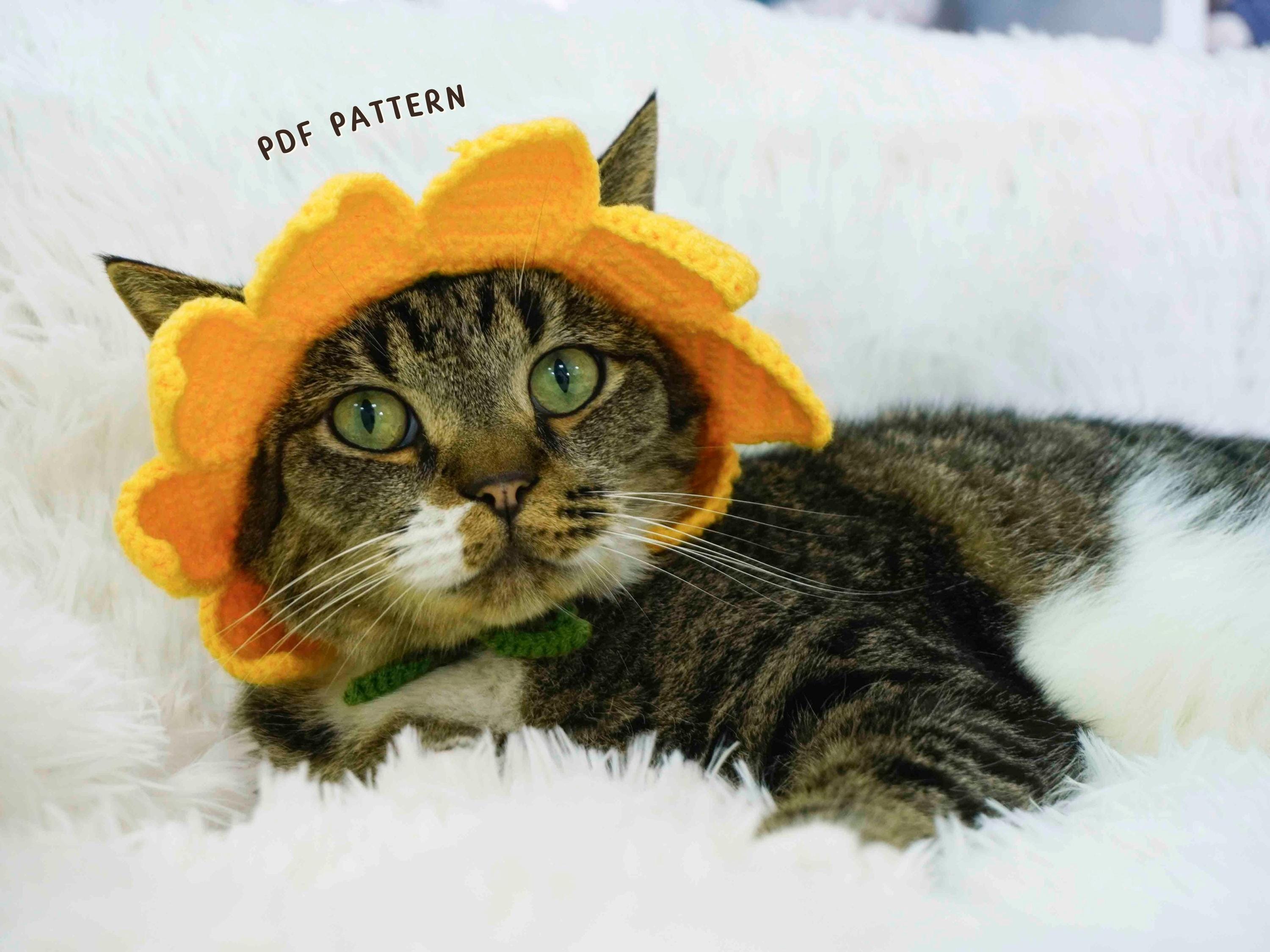 Katze blumentopf - Etsy.de