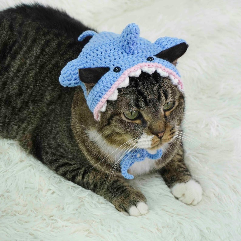Shark Cat Hat Crochet Pattern, Cat Hat Crochet Pattern, Cat Shark ...
