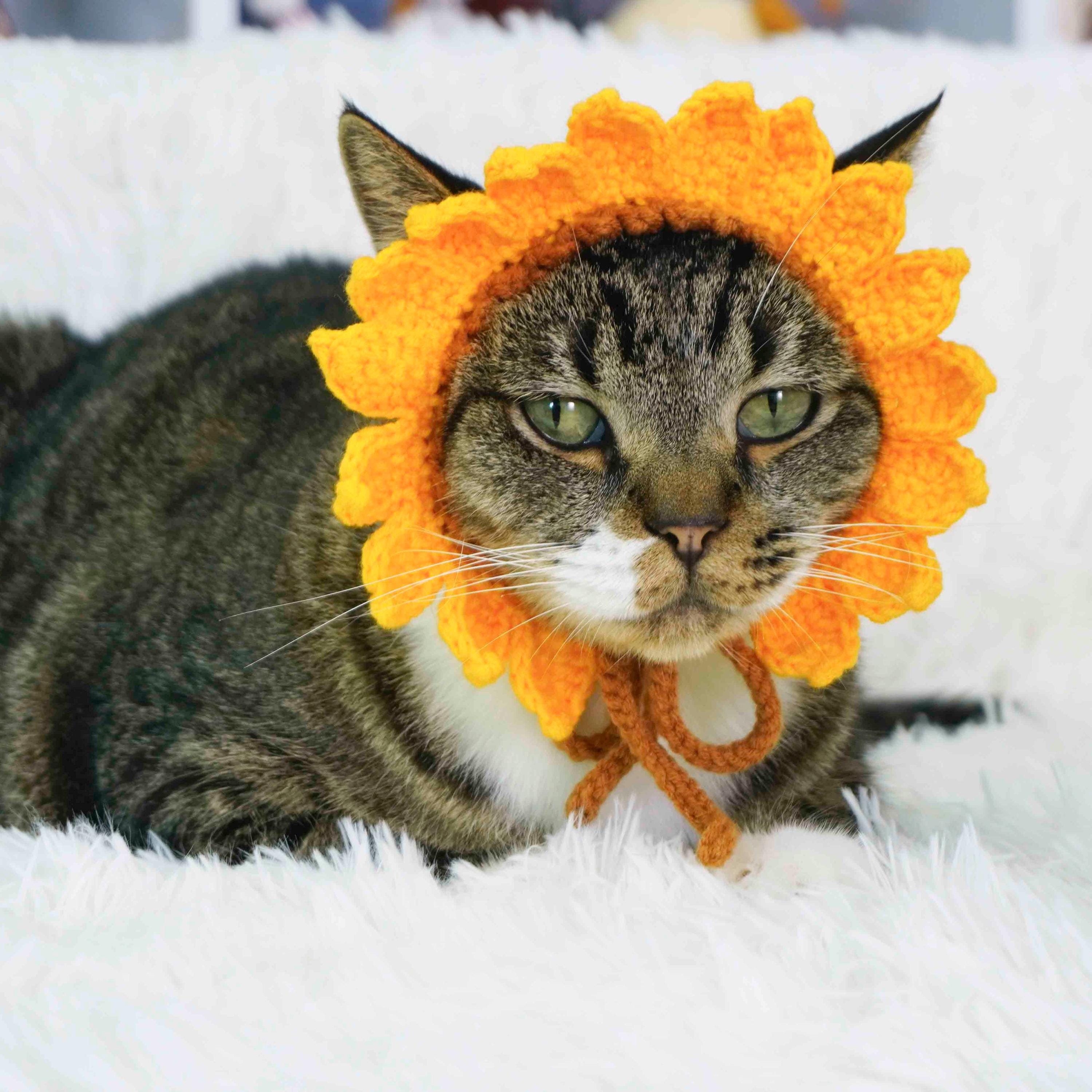 Sunflower Cat Hat Crochet Pattern, Cat Hat Crochet Pattern, Flower Cat ...