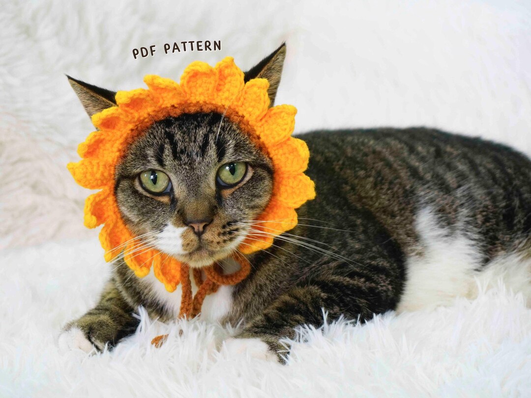 Sunflower Cat Hat Crochet Pattern, Cat Hat Crochet Pattern, Flower Cat ...