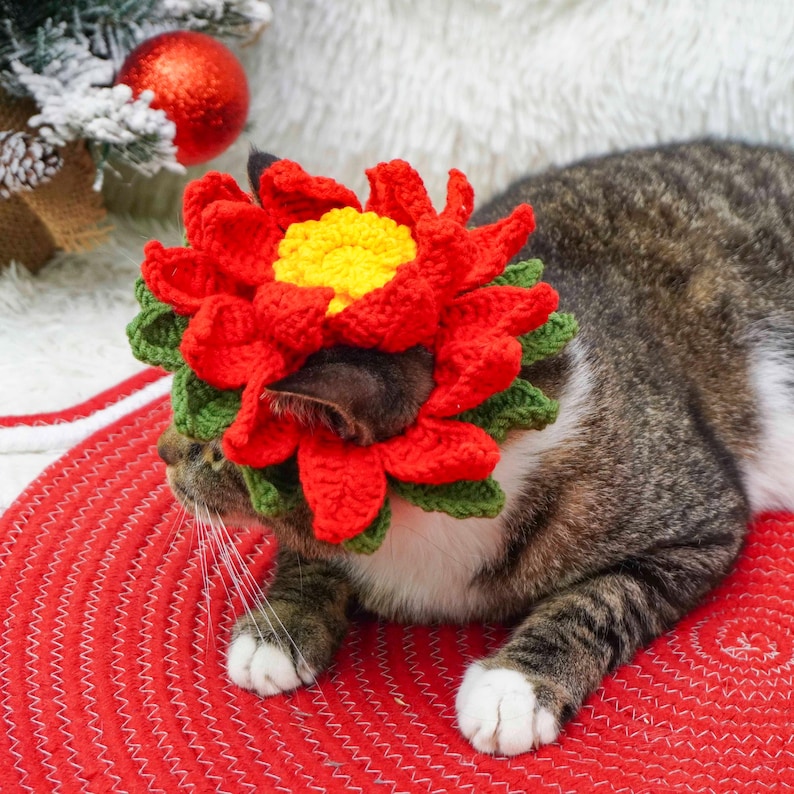 poinsettia-cat-hat-crochet-pattern-cat-hat-crochet-pattern-flower-cat