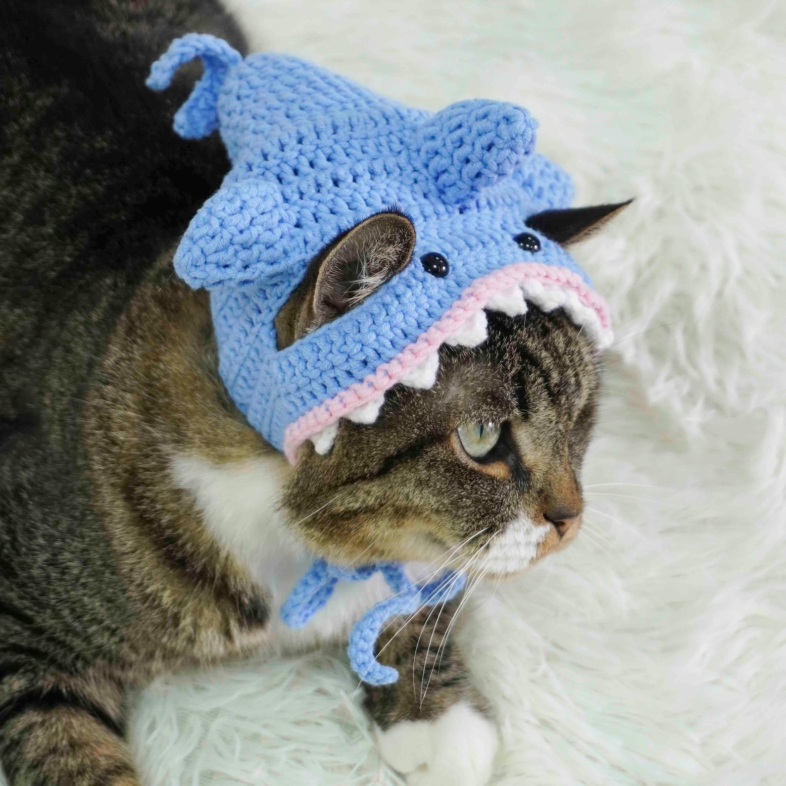 Shark Cat Hat Crochet Pattern, Cat Hat Crochet Pattern, Cat Shark ...