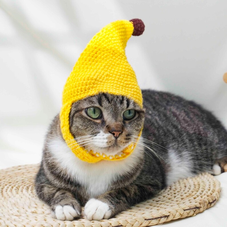 May include: A tabby cat wearing a bright yellow crocheted banana hat with a brown pom-pom on top. The cat has green eyes and white paws, resting on a woven mat.