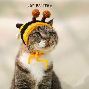 May include: A tabby cat wearing a handmade bee costume, including a yellow and black striped hat with antennae and a matching neckpiece. The text "PDF PATTERN" is visible above the cat's head. The cat has green eyes and white fur on its chest.