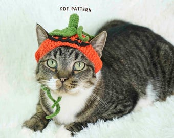 Pumpkin Cat Hat Crochet Pattern, Halloween Cat Hat Pattern, Pet Pumpkin Hat Crochet, Pumpkin Cat Beanie Crochet, Friendly Crochet Tutorial