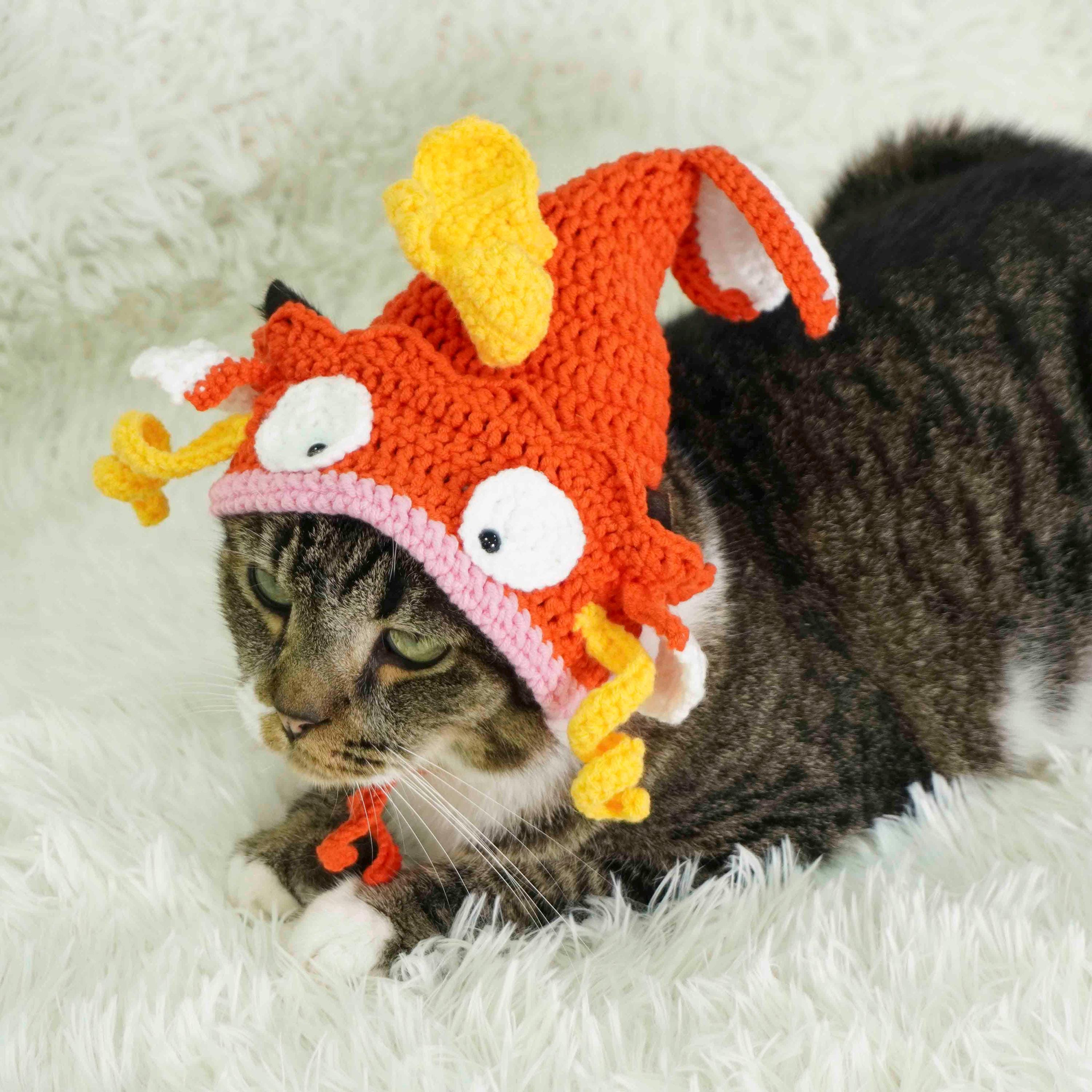 Fish Cat Hat Crochet Pattern, Cat Hat Crochet Pattern, Cat Fish Costume ...