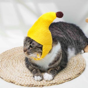 May include: A tabby cat wearing a bright yellow crocheted banana hat with a brown pom-pom on top. The cat is lying on a woven mat, with its head turned to the left. The hat covers the cat's ears and head.