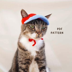 May include: A brown and white tabby cat wearing a red and light blue crocheted visor hat with a red chin strap. The text PDF PATTERN is printed in black on the right side of the image. The hat features a textured yarn construction.
