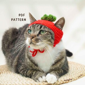 May include: A tabby cat wearing a red crocheted hat with a green accent and a red bow. The cat is lying on a woven mat. The text "PDF PATTERN" is visible in the image.