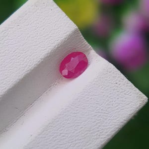 Natural Ruby Oval Cut 0.71 ct | Untreated Pinkish Red Ruby from Afghanistan | Loose Gemstone for Jewelry