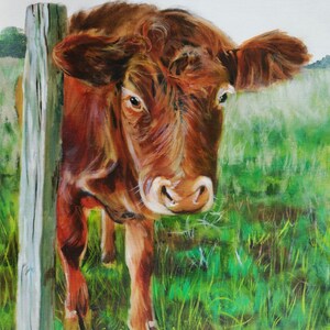 Cow painting, original oil on canvas art