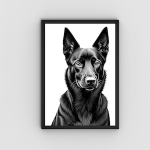 Australian Kelpie Illustration Print – Black and White Digital Dog Art – Kelpie Wall Art – Farm Dog Line Drawing Download