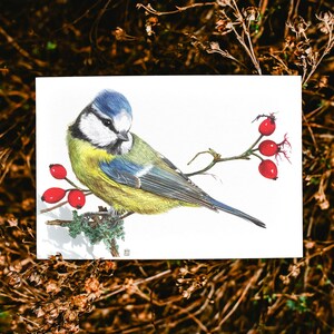 May include: A watercolor painting of a blue tit bird perched on a branch with red berries. The bird has a blue head, yellow chest, and blue and green wings. The artwork is set against a blurred background of brown foliage.