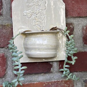 May include: A cream-colored ceramic wall planter with a floral design, holding a succulent plant with trailing green stems. The planter is mounted on a red brick wall, creating a rustic aesthetic.