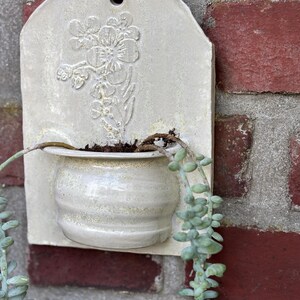 May include: A cream-colored ceramic wall planter with a floral design and a small, round pot. The planter is mounted on a red brick wall, with a trailing succulent plant cascading from the pot.