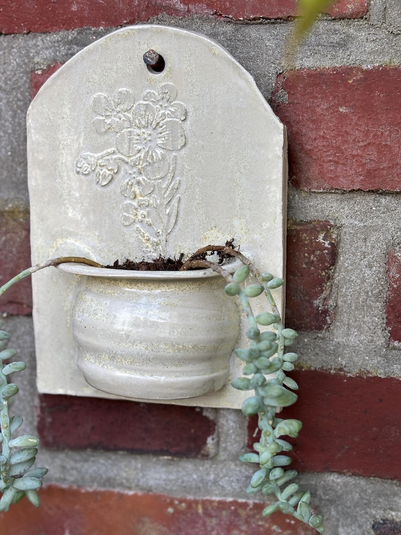 May include: A cream-colored ceramic wall planter with a floral design and a small, round pot. The planter is mounted on a red brick wall, with a trailing succulent plant cascading from the pot.