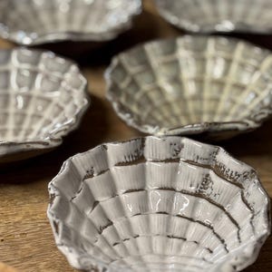 Könnte beinhalten: Eine Sammlung von muschelförmigen Keramikschalen in verschiedenen Weiß- und Grautönen. Die Schalen haben ein strukturiertes, gitterartiges Muster und ein leicht verwittertes, rustikales Aussehen. Sie sind auf einer Holzoberfläche angeordnet.