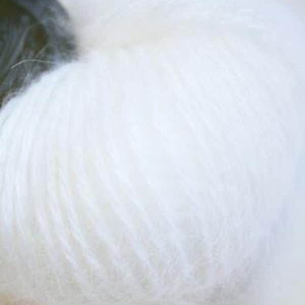 Belangor french angora