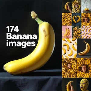 バナナ画像174枚。ストック画像コレクション。デジタルストック写真バンドル。黄色いトロピカルフルーツ。バナナの世界。