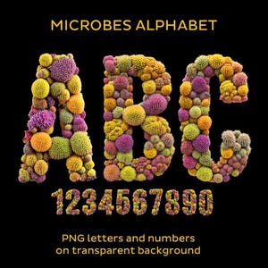 May include: An image showing the letters A, B, and C, and the numbers 1 to 0, each formed from colourful microbe-like shapes. The words "MICROBES ALPHABET" are at the top, and "PNG letters and numbers on transparent background" are at the bottom.