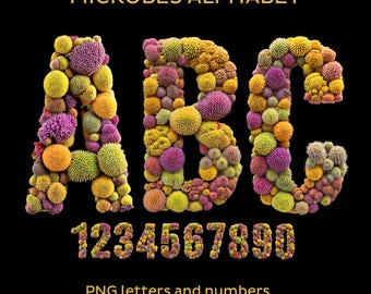 Microbes Alphabet PNG: Transparent Letters, Numbers (Digital Download)