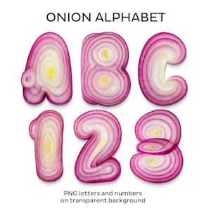 Onion Alphabet.  Letters, numbers, and basic punctuation marks. PNG letters with a transparent background. Onion typography.