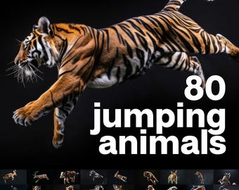 Jumping Wild Animals Stock Images: 80 High-Resolution Photos (Digital Download)