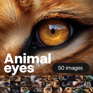 Tieraugen - 50 Motive. Ein Set von 50 Tieraugen fotorealistische Bilder. Digitale Stock Bilder bündeln. Waldtiere. Schönheit der Augen der Tiere.