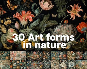 30 Art Forms in Nature Illustrations. Vintage Floral backgrounds. Digital Stock Images Bundle.