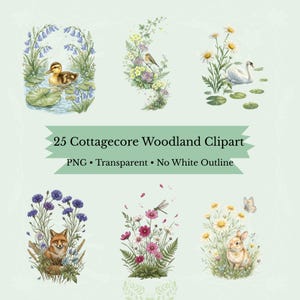 May include: A collection of watercolor clipart featuring woodland scenes. The images include a duckling in a pond, birds, a swan, a fox, a rabbit, and various flowers. Text reads "25 Cottagecore Woodland Clipart".