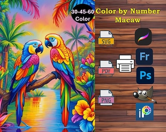 Macaw Parrot Paint by Numbers Kit: Procreate, Fresco (Digital Download, PDF, PNG, SVG)