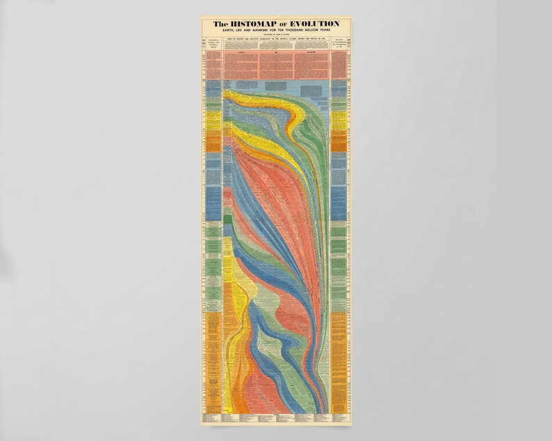 Histomap Example Vintage Histomap of Evolution, History of Life Timeline Chart ...