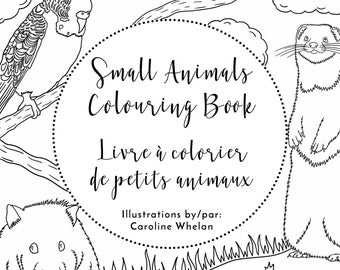 Small animals colouring book, downloadable colouring book, printable colouring book, small pet, animal colouring pages, digital downloads